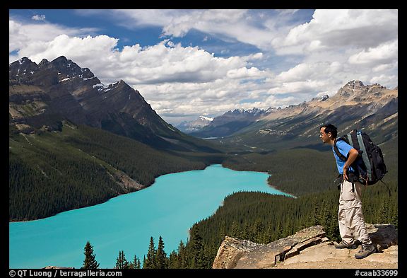 Hiker wearing backpack looking at Peyto Lake. Banff National Park, Canadian Rockies, Alberta, Canada