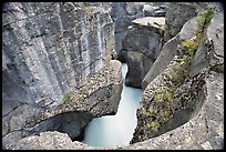 Twenty meter deep gorge carved out of solid limestone rock, Mistaya Canyon. Banff National Park, Canadian Rockies, Alberta, Canada