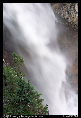 Water and trees, Panther Falls. Banff National Park, Canadian Rockies, Alberta, Canada