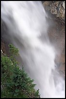 Water and trees, Panther Falls. Banff National Park, Canadian Rockies, Alberta, Canada ( color)