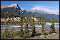 Saskatchevan River. Banff National Park, Canadian Rockies, Alberta, Canada (color)