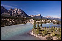 Saskatchevan River. Banff National Park, Canadian Rockies, Alberta, Canada ( color)