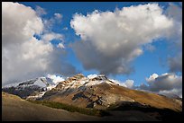 Peak and cloud near the Columbia Icefield,  early morning. Jasper National Park, Canadian Rockies, Alberta, Canada