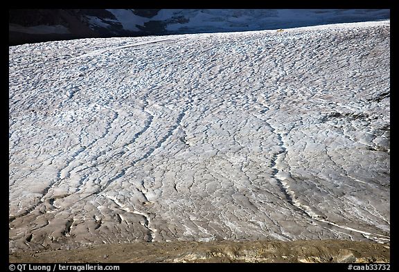 Crevasse patters on Athabasca Glacier. Jasper National Park, Canadian Rockies, Alberta, Canada (color)