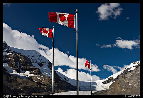 Canadian flags at the Icefieds Center. Jasper National Park, Canadian Rockies, Alberta, Canada (color)