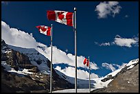 Canadian flags at the Icefieds Center. Jasper National Park, Canadian Rockies, Alberta, Canada
