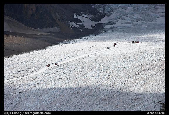 Distant view of snowcoaches transporting tourists on the Athabasca Glacier. Jasper National Park, Canadian Rockies, Alberta, Canada