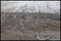 Terminal moraine with path leading to Athabasca Glacier. Jasper National Park, Canadian Rockies, Alberta, Canada ( color)