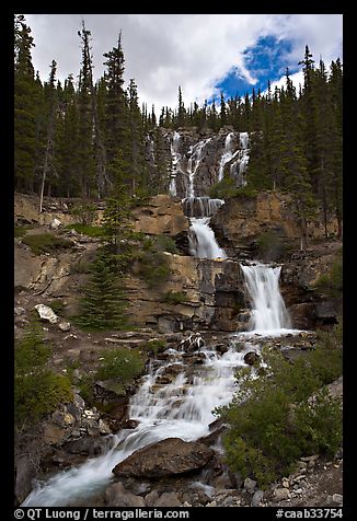 Multi-tiered Tangle Falls. Jasper National Park, Canadian Rockies, Alberta, Canada