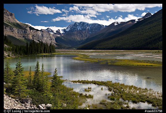 Refecting pool near Beauty Creek, afternoon. Jasper National Park, Canadian Rockies, Alberta, Canada (color)