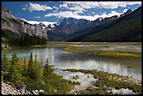 Refecting pool near Beauty Creek, afternoon. Jasper National Park, Canadian Rockies, Alberta, Canada (color)