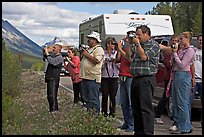 Tourists lined up on Icefields Parkway to photograph wildlife. Jasper National Park, Canadian Rockies, Alberta, Canada (color)