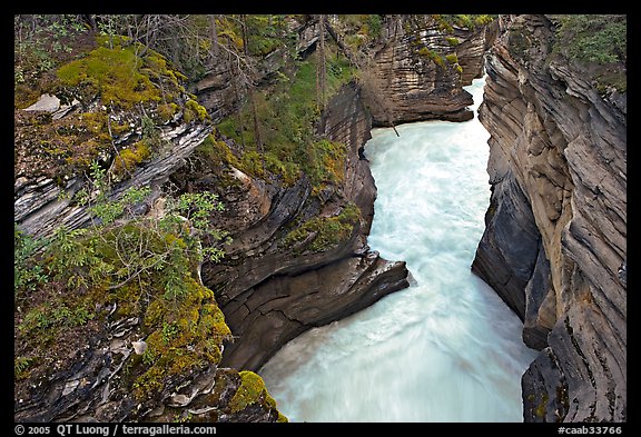 Canyon at the base of Athabasca Falls. Jasper National Park, Canadian Rockies, Alberta, Canada