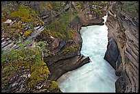 Canyon at the base of Athabasca Falls. Jasper National Park, Canadian Rockies, Alberta, Canada (color)