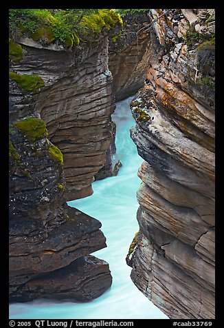 Narrow canyon at the base of Athabasca Falls. Jasper National Park, Canadian Rockies, Alberta, Canada