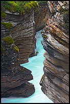 Narrow canyon at the base of Athabasca Falls. Jasper National Park, Canadian Rockies, Alberta, Canada