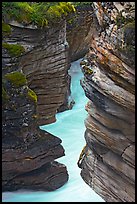 Narrow canyon at the base of Athabasca Falls. Jasper National Park, Canadian Rockies, Alberta, Canada (color)