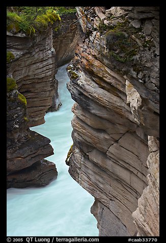 Gorge at the base of Athabasca Falls. Jasper National Park, Canadian Rockies, Alberta, Canada (color)