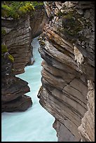 Gorge at the base of Athabasca Falls. Jasper National Park, Canadian Rockies, Alberta, Canada