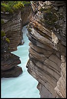 Gorge at the base of Athabasca Falls. Jasper National Park, Canadian Rockies, Alberta, Canada (color)