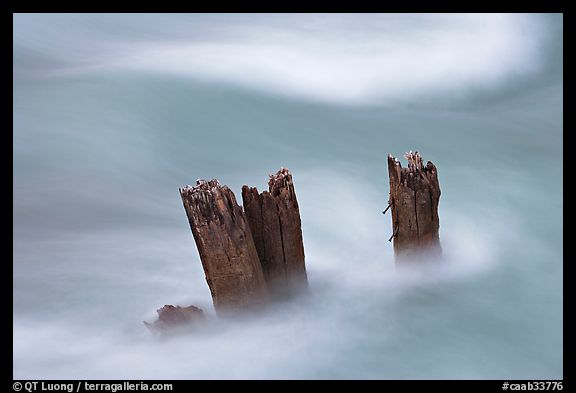 Stumps in the Whirlpool River. Jasper National Park, Canadian Rockies, Alberta, Canada (color)