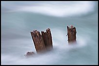 Stumps in the Whirlpool River. Jasper National Park, Canadian Rockies, Alberta, Canada (color)