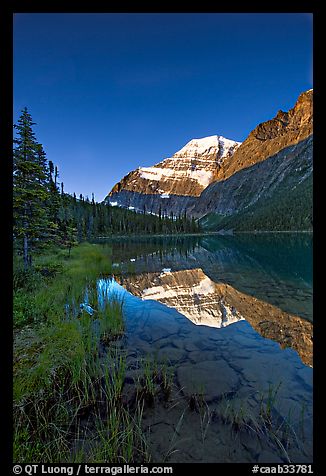 Mt Edith Cavell reflected in Cavell Lake, sunrise. Jasper National Park, Canadian Rockies, Alberta, Canada