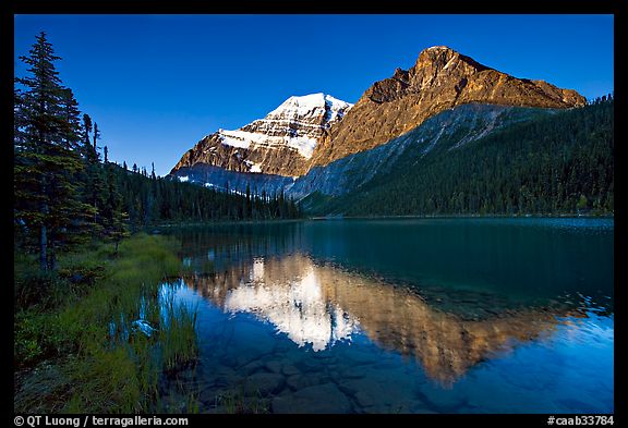 Cavell Lake and Mt Edith Cavell, early morning. Jasper National Park, Canadian Rockies, Alberta, Canada (color)