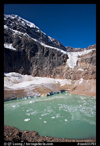 Turquoise glacial lake below Mt Edith Cavell, morning. Jasper National Park, Canadian Rockies, Alberta, Canada (color)