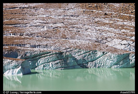 Cavell Glacier calving into a glacial lake. Jasper National Park, Canadian Rockies, Alberta, Canada (color)