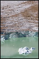 Iceberg, Cavell Pond, and Cavell Glacier. Jasper National Park, Canadian Rockies, Alberta, Canada (color)