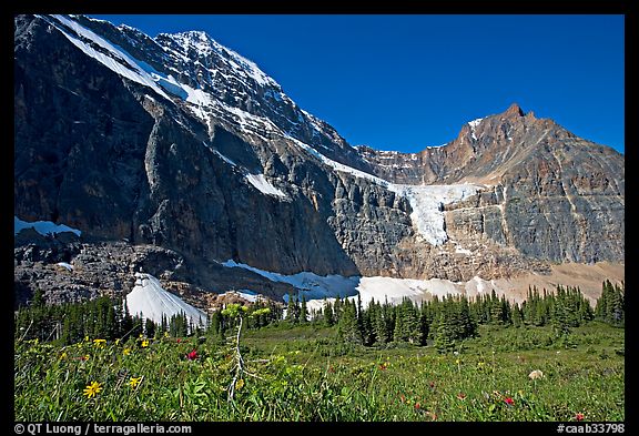 Cavell Meadows, Mt Edith Cavell, and Angel Glacier, morning. Jasper National Park, Canadian Rockies, Alberta, Canada (color)