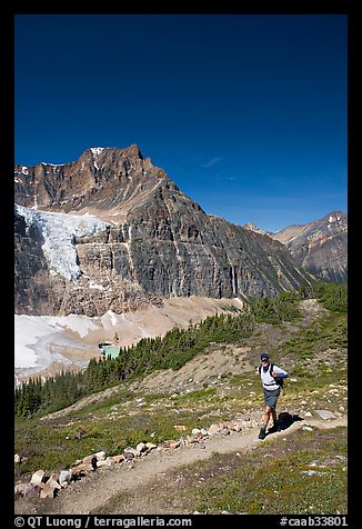 Hiker on a trail below Angel Glacier. Jasper National Park, Canadian Rockies, Alberta, Canada