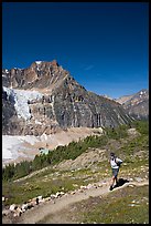 Hiker on a trail below Angel Glacier. Jasper National Park, Canadian Rockies, Alberta, Canada