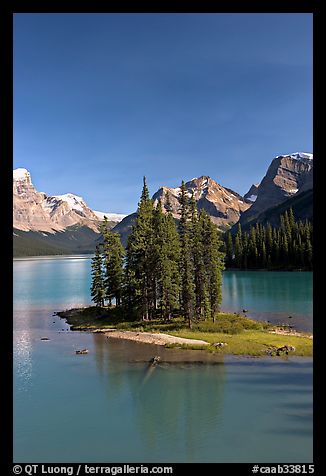 Evergreens on Spirit Island, Maligne Lake, afternoon. Jasper National Park, Canadian Rockies, Alberta, Canada