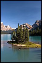 Evergreens on Spirit Island, Maligne Lake, afternoon. Jasper National Park, Canadian Rockies, Alberta, Canada