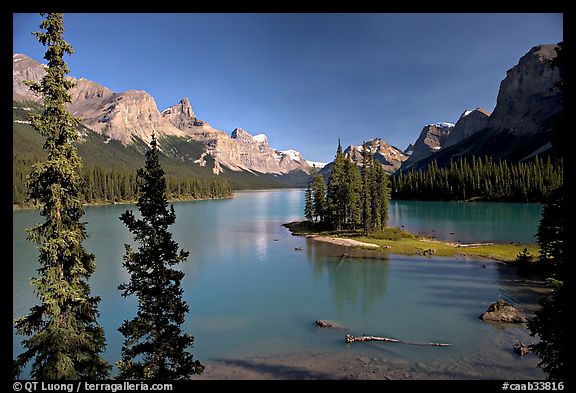 Tiny island with evergreens on  Maligne Lake, afternoon. Jasper National Park, Canadian Rockies, Alberta, Canada