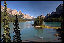 Tiny island with evergreens on  Maligne Lake, afternoon. Jasper National Park, Canadian Rockies, Alberta, Canada