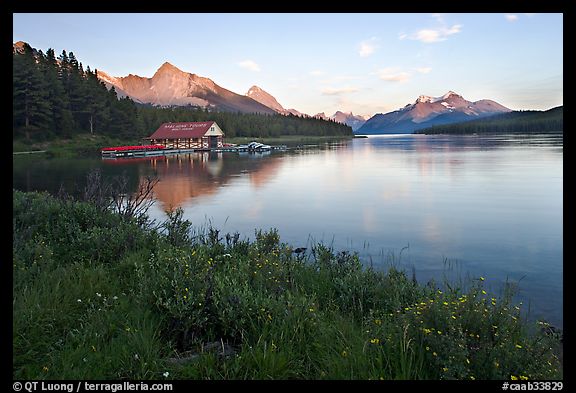 Wildflowers, Maligne Lake and boathouse, sunset. Jasper National Park, Canadian Rockies, Alberta, Canada