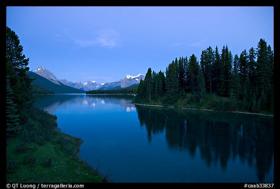 Maligne River outlet, row of evergreens, and  Maligne River, blue dusk. Jasper National Park, Canadian Rockies, Alberta, Canada