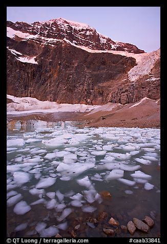 Cavell Pond, with the face of Mt Edith Cavell looming above, sunrise. Jasper National Park, Canadian Rockies, Alberta, Canada