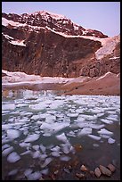 Cavell Pond, with the face of Mt Edith Cavell looming above, sunrise. Jasper National Park, Canadian Rockies, Alberta, Canada (color)