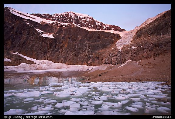 Cavell Pond at the base of Mt Edith Cavell, sunrise. Jasper National Park, Canadian Rockies, Alberta, Canada