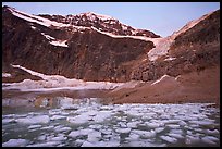 Cavell Pond at the base of Mt Edith Cavell, sunrise. Jasper National Park, Canadian Rockies, Alberta, Canada