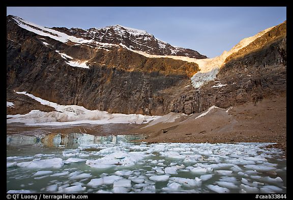 Glacial Pond filled with icebergs below Mt Edith Cavell, sunrise. Jasper National Park, Canadian Rockies, Alberta, Canada (color)