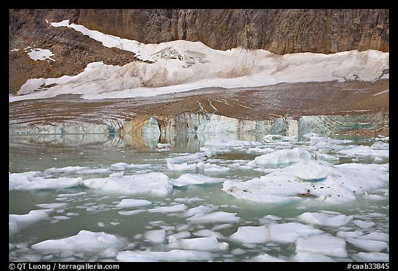 Icebergs in glacial lake and Cavell Glacier. Jasper National Park, Canadian Rockies, Alberta, Canada (color)