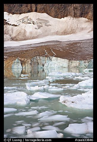 Icebergs in glacial pond and Cavell Glacier. Jasper National Park, Canadian Rockies, Alberta, Canada (color)