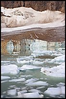 Icebergs in glacial pond and Cavell Glacier. Jasper National Park, Canadian Rockies, Alberta, Canada ( color)