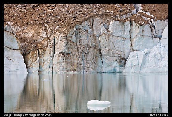 Iceberg and front of Cavell Glacier. Jasper National Park, Canadian Rockies, Alberta, Canada (color)