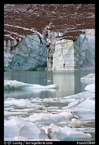 Cavell Glacier and icebergs detached from the glacier. Jasper National Park, Canadian Rockies, Alberta, Canada